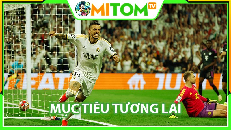 Mục tiêu phát triển trong tương lai của trang Mitom TV trực tiếp bóng đá